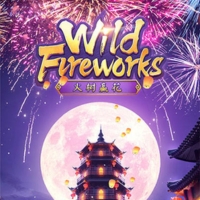 wild fireworks