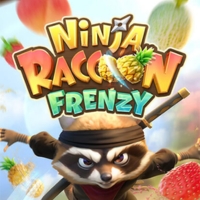 ninja raccoon frenzy