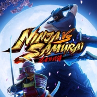 ninja vs samurai