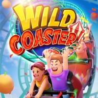 wild coaster